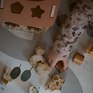 Сортер деревянный Mrs. Ertha "Animal Farm", бежевый